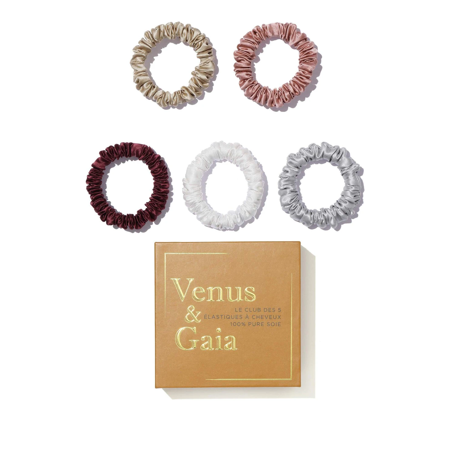 Le Club Des 5 1 Le Club Des 5