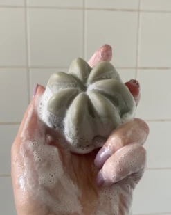 Le Shampoing Solide Detox -Cosmétiques Soldes Captured ecran2023 06 05a10.37.20