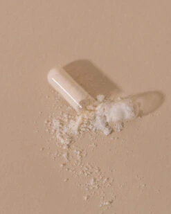 Microbiote & Nombril Compléments Digestion 7 Microbiote & Nombril Compléments Digestion -Cosmétiques Soldes Microbiote et Nombril 3