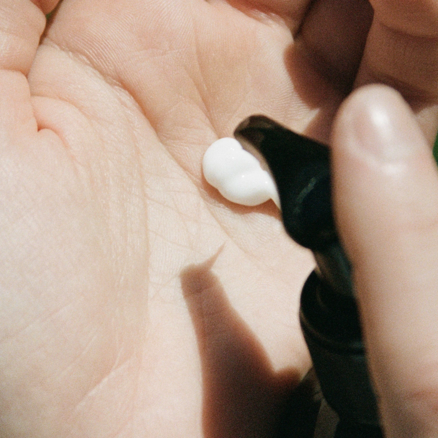 L:A Bruket Body Lotion Lait Corps Feuille De Pamplemousse 193 2 L:A Bruket Body Lotion Lait Corps Feuille De Pamplemousse 193 – Image 2